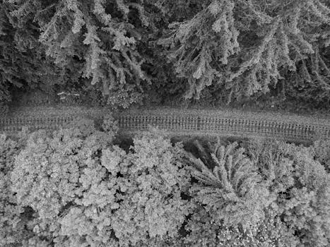 Drone aerial shot of railway tracks through dense forest in Ilmenau, Germany.