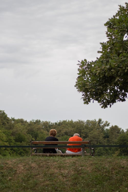 Darmowe zdjęcie z galerii z drzewa, ławka, park