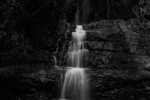 Grayscale Photo of Waterfall in the Forest