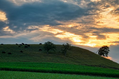 Scenic View of a Mountain during Sunset