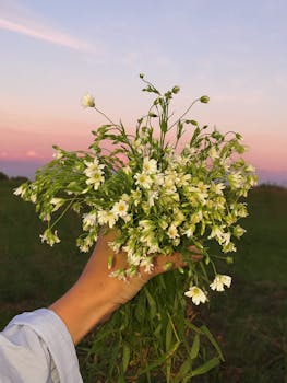 A bouquet of white wildflowers held against a pink sunset sky, capturing a serene outdoor moment.