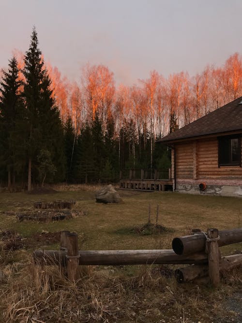 Kostnadsfri bild av höst, hus, inget folk