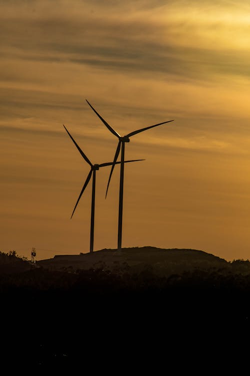 Silhouette of Wind Turbines during Sunset