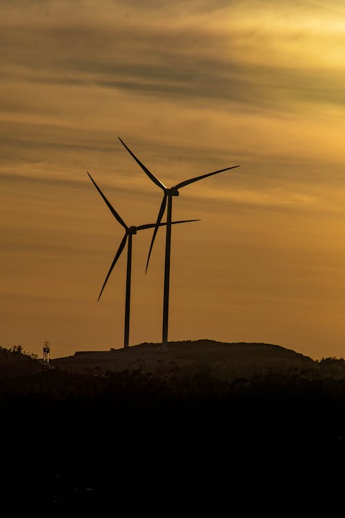 Gratis arkivbilde med daggry, silhuett, solnedgang