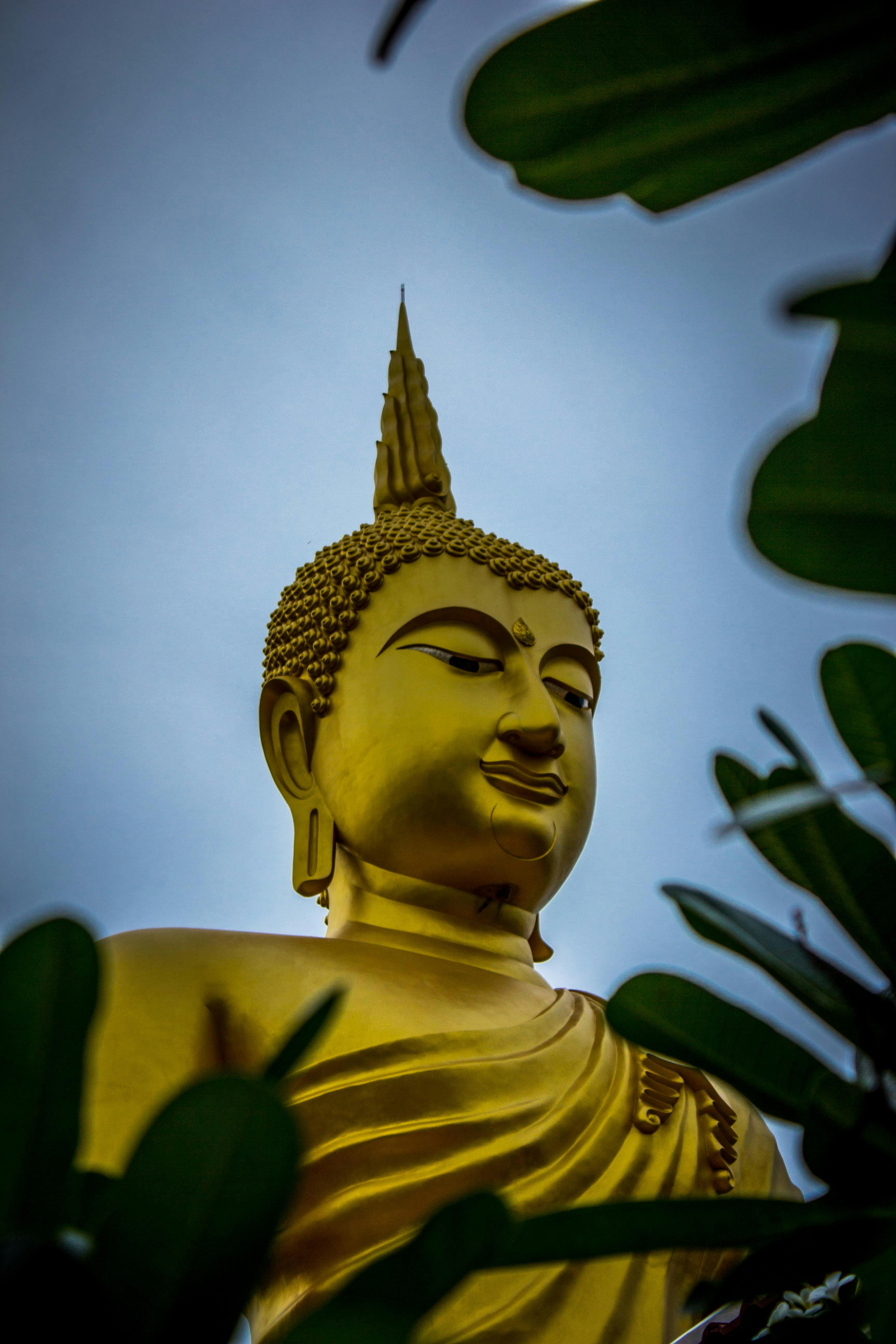 gautama buddha statue