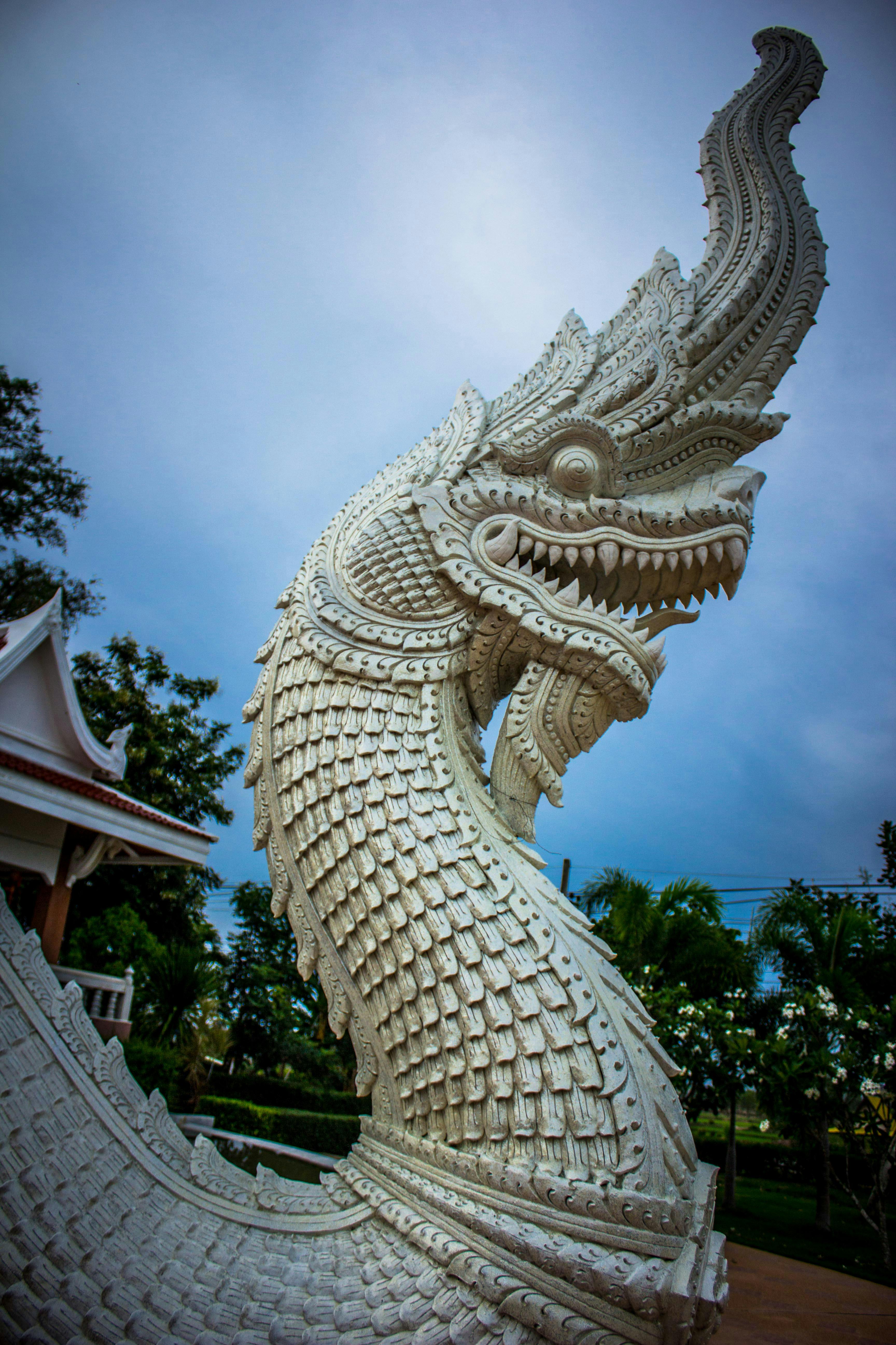 Free photo: Dragon 1 - 3d, Dragon, Fantasy - Free Download - Jooinn