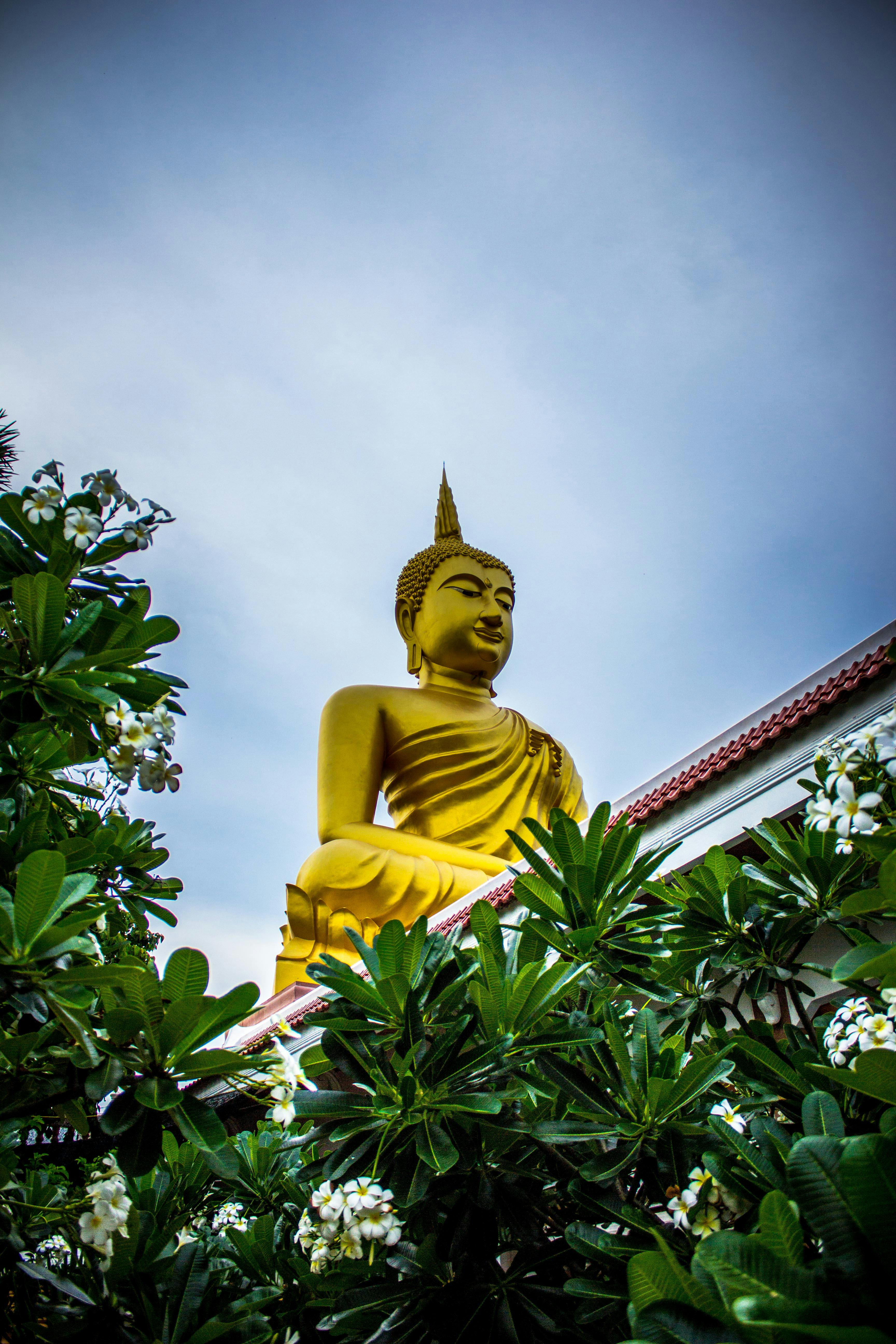 100+ Amazing Buddha Photos · Pexels · Free Stock Photos