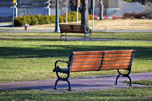 芝生の近くの黒と茶色のベンチ