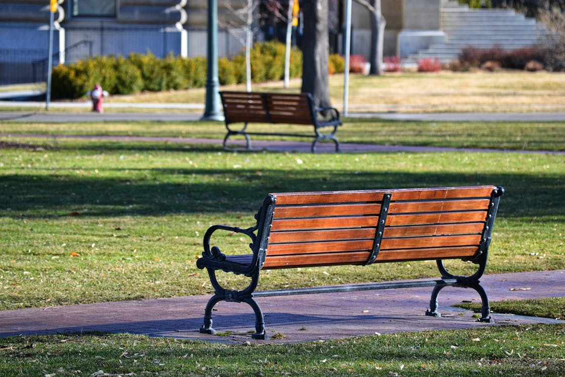 Black and Brown Bench Near Grass Field