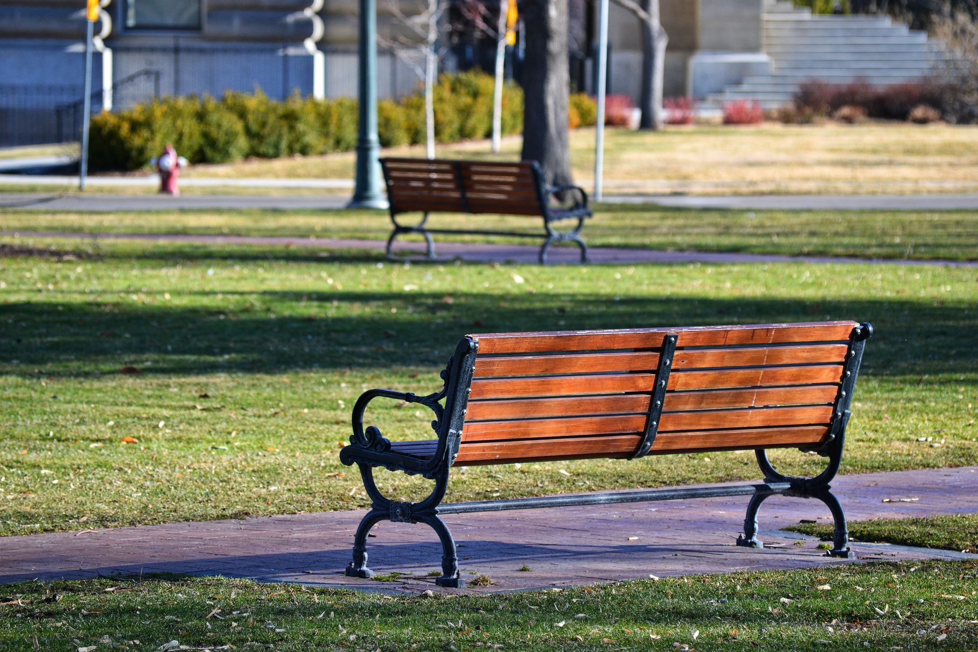 Peaceful urban park scene with wooden benches on a sunny day.