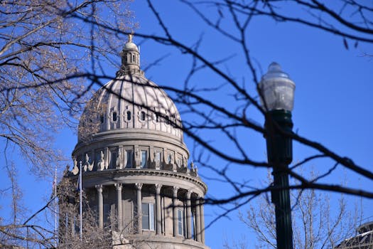 冬日的树木映衬着爱达荷州议会大厦的圆顶，天空一片蔚蓝
