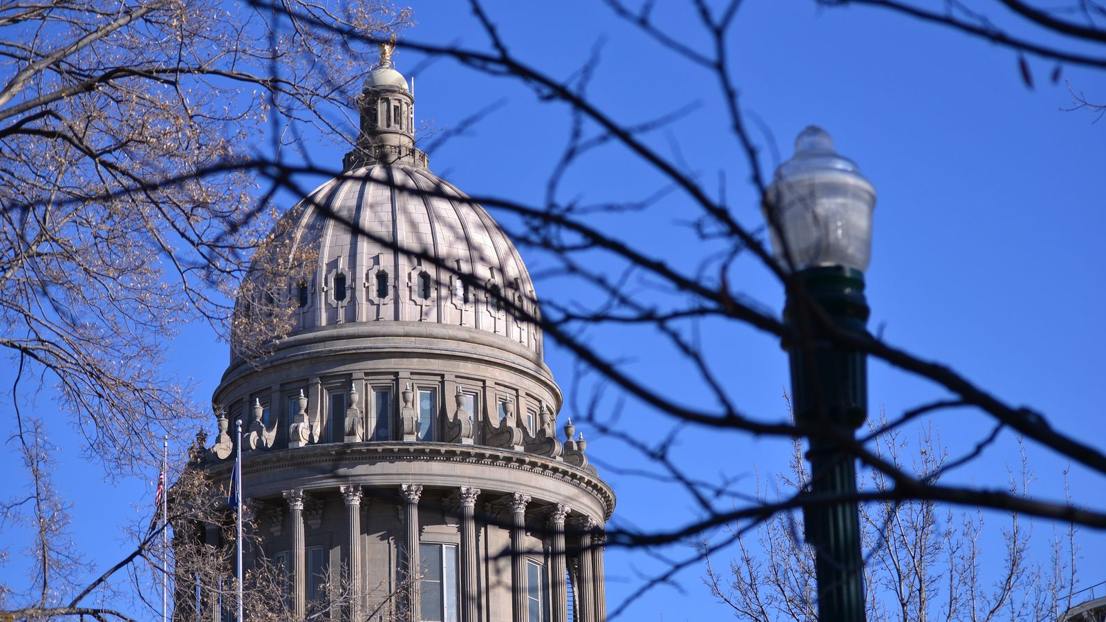 View of the Idaho State Capitol dome with blue skies and winter trees.