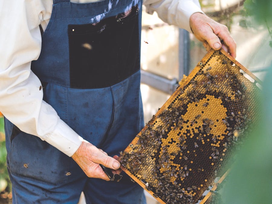 Photo by Jenda Kubeš