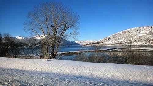 Berg über Gewässer Unter Klarem Blauem Himmel