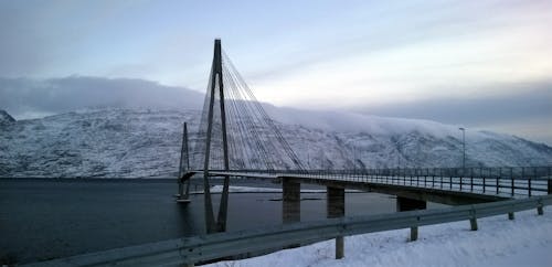 Schwarze Hängebrücke Unter Cumuluswolken