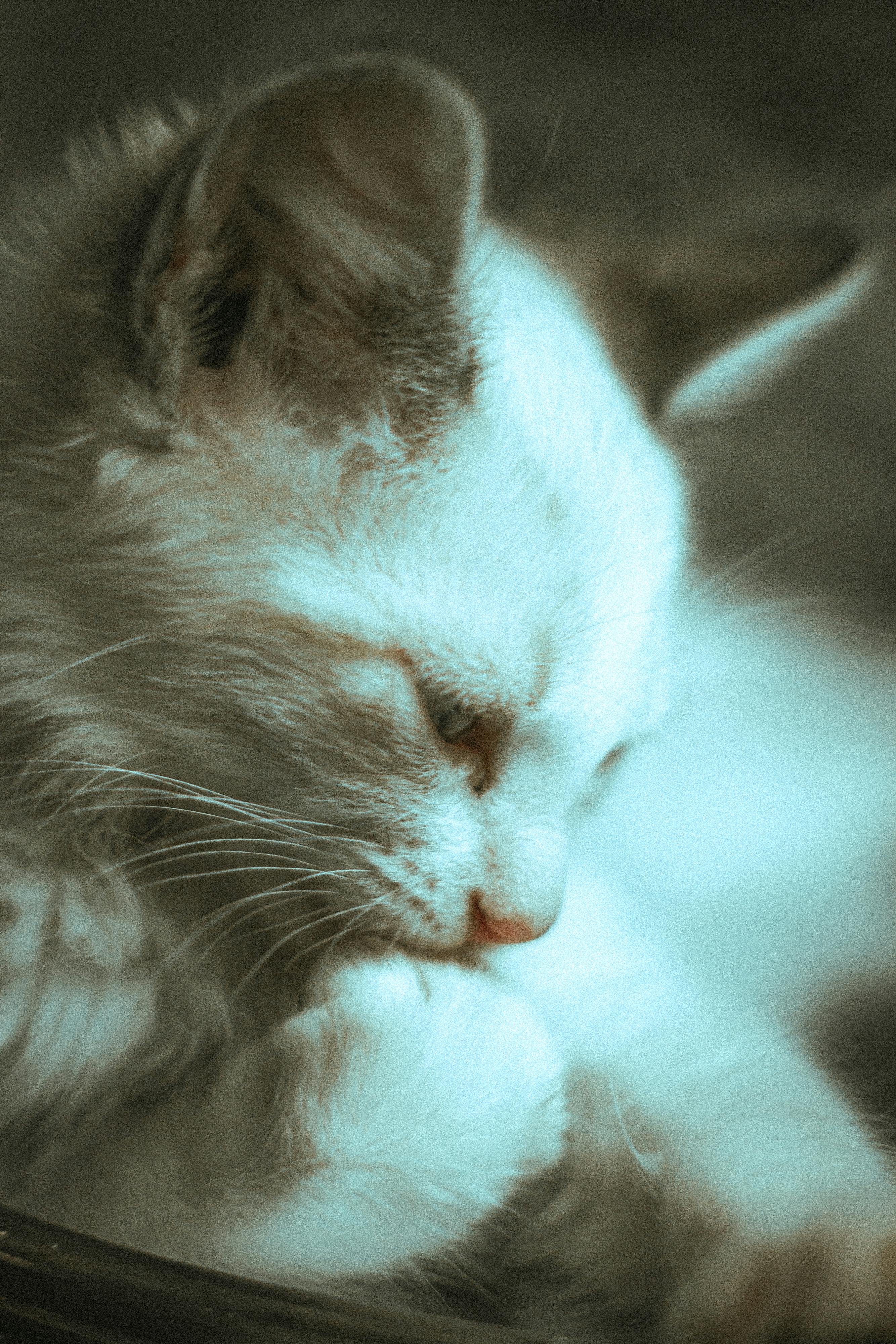 Le bonheur est une direction, pas une destination.