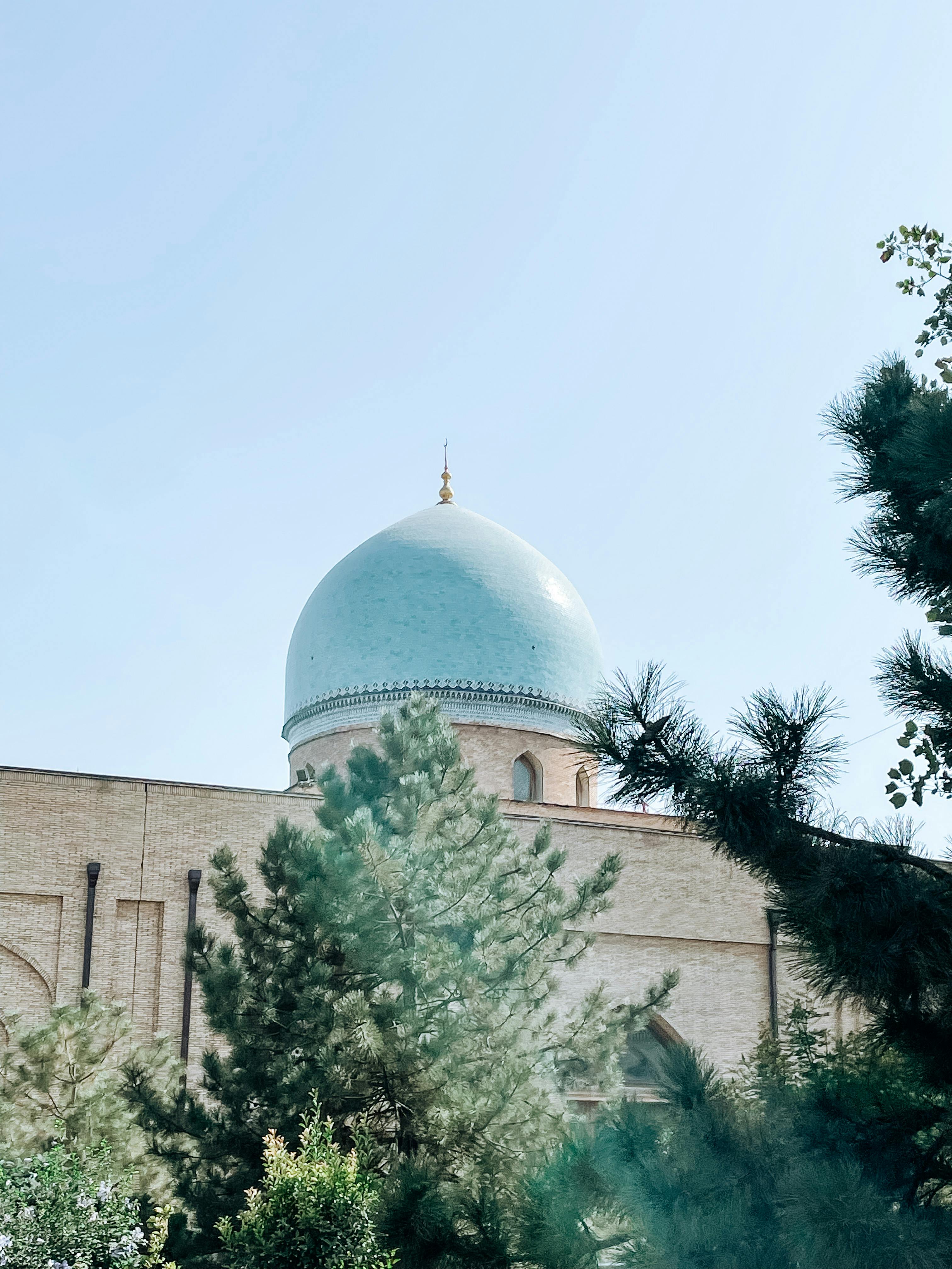 Free Green Tree Near Brown Concrete Building Stock Photo