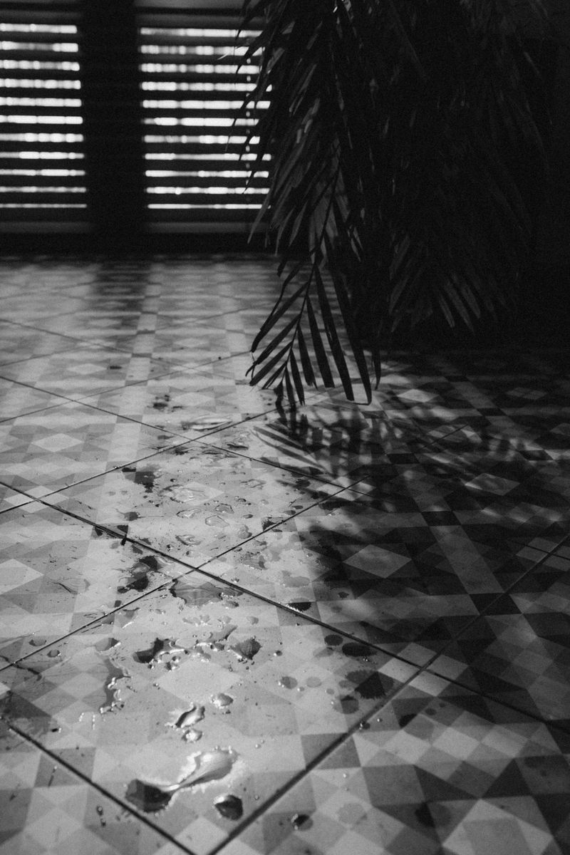 Water spilled across a tiled floor