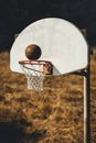 White Basketball Hoop With Basketball on Top