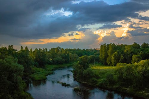 Photo De Rivière Entre Les Champs D'herbe Verte