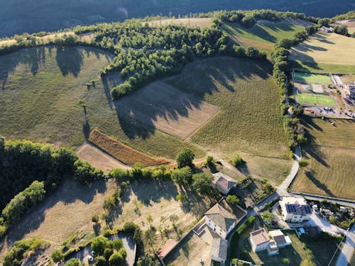 Aerial View of Green Trees and Green Grass Field