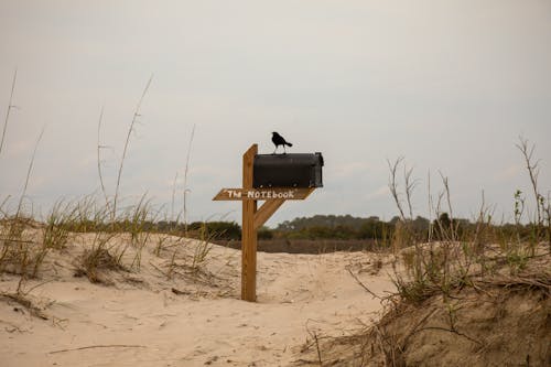 A Mailbox on a Beach