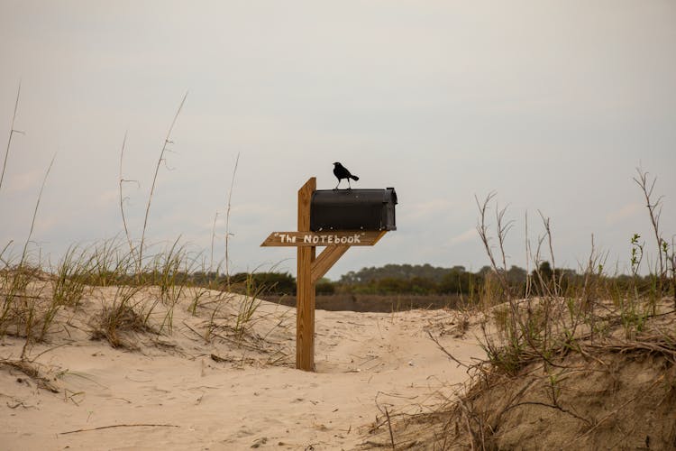 A Mailbox On A Beach