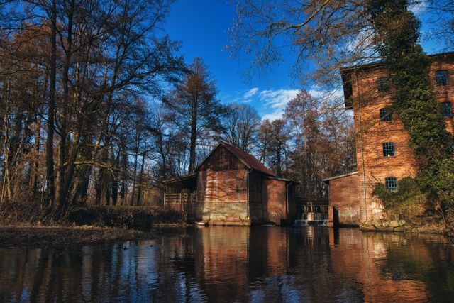 Photo by Natur_u_ meer on Pexels Photo by Natur_u_ meer on Pexels