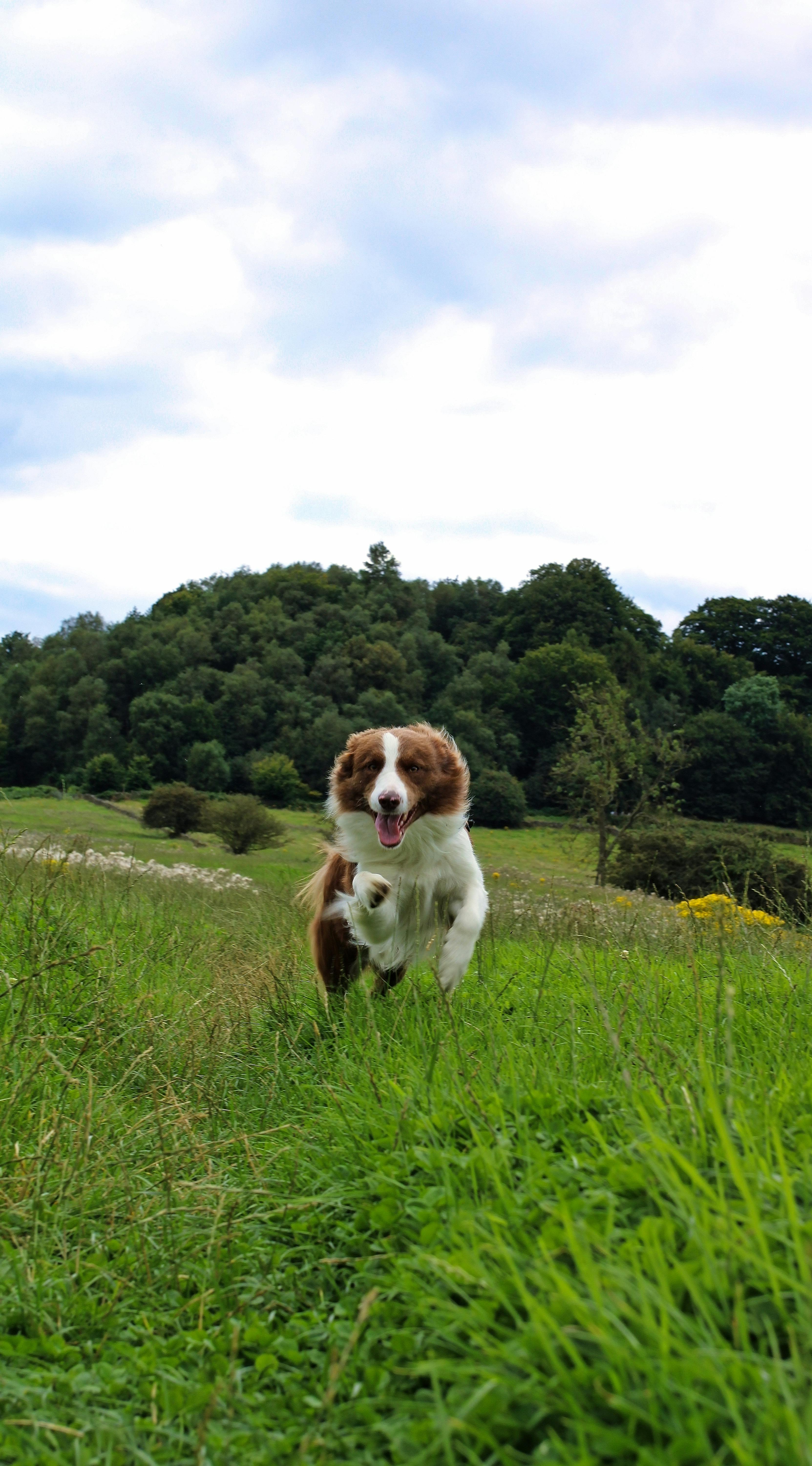 Thrilled friends enjoying a Banana Boat ride in Dubai's blue waters, laughing and holding on tight.