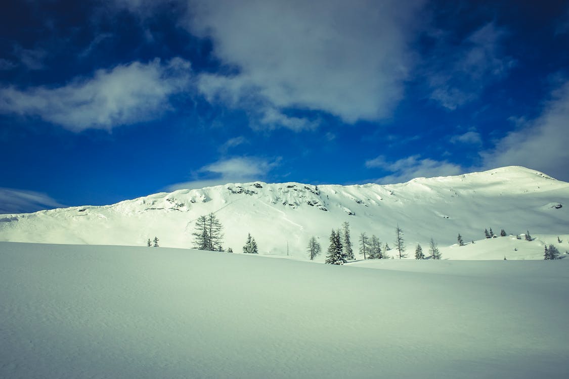 무료 감기, 겨울, 구름의 무료 스톡 사진