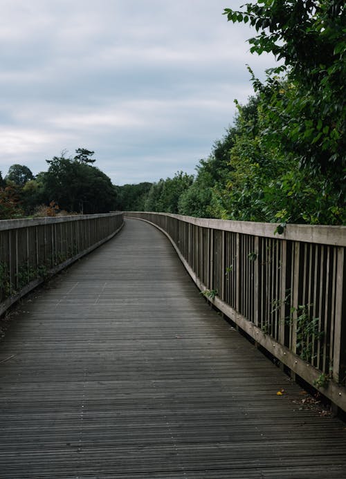 Brown Wooden Bridge over Green Trees