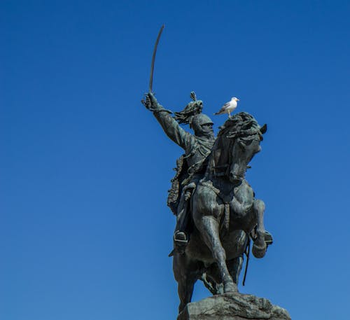 Seagull Sitting on Monument of Man on Horse