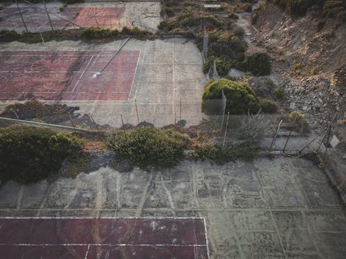 Free Green Plants on Concrete Floor of Abandoned Tennis Courts Stock Photo