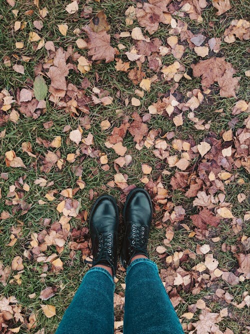 Person in Blue Denim Jeans and Black Leather Shoes Standing on Dried Leaves