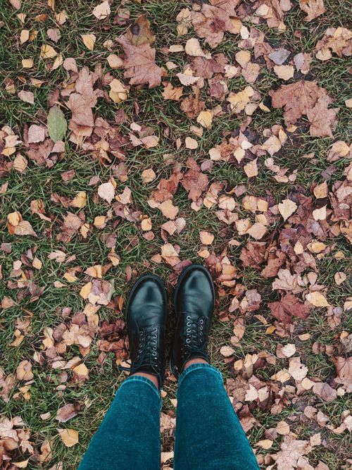 Free Stylish black boots standing on colorful fallen autumn leaves on grass. Stock Photo