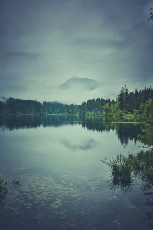 Free stock photo of fog, lake, landscape