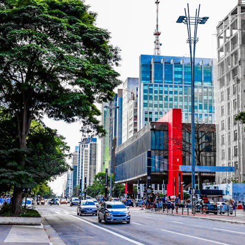 Foto profissional grátis de arquitetura, árvores verdes, automóveis