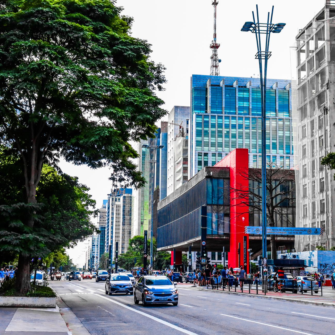 Lively street scene featuring modern high-rise buildings, cars, and lush trees in an urban setting.