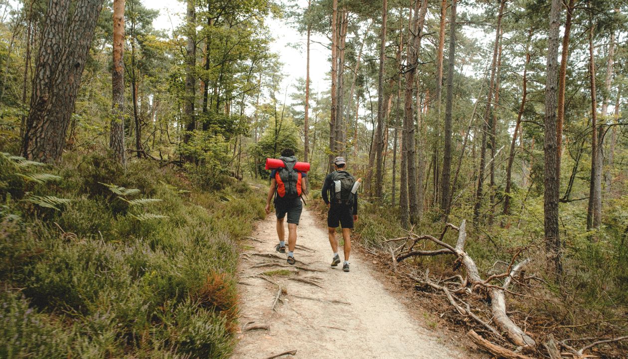 Hiker with a loaded backpack on a mountain trail at sunrise