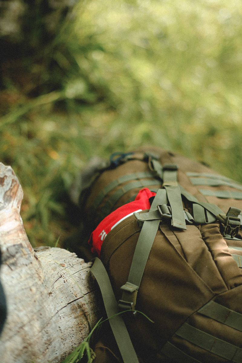 Close-up of a backpack resting on a forest log with lush green grass.