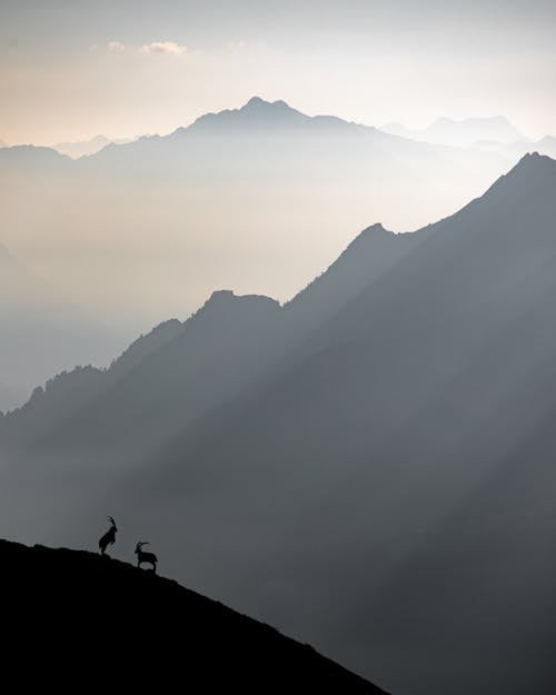 Silhouette of 2 People Standing on Rock Formation