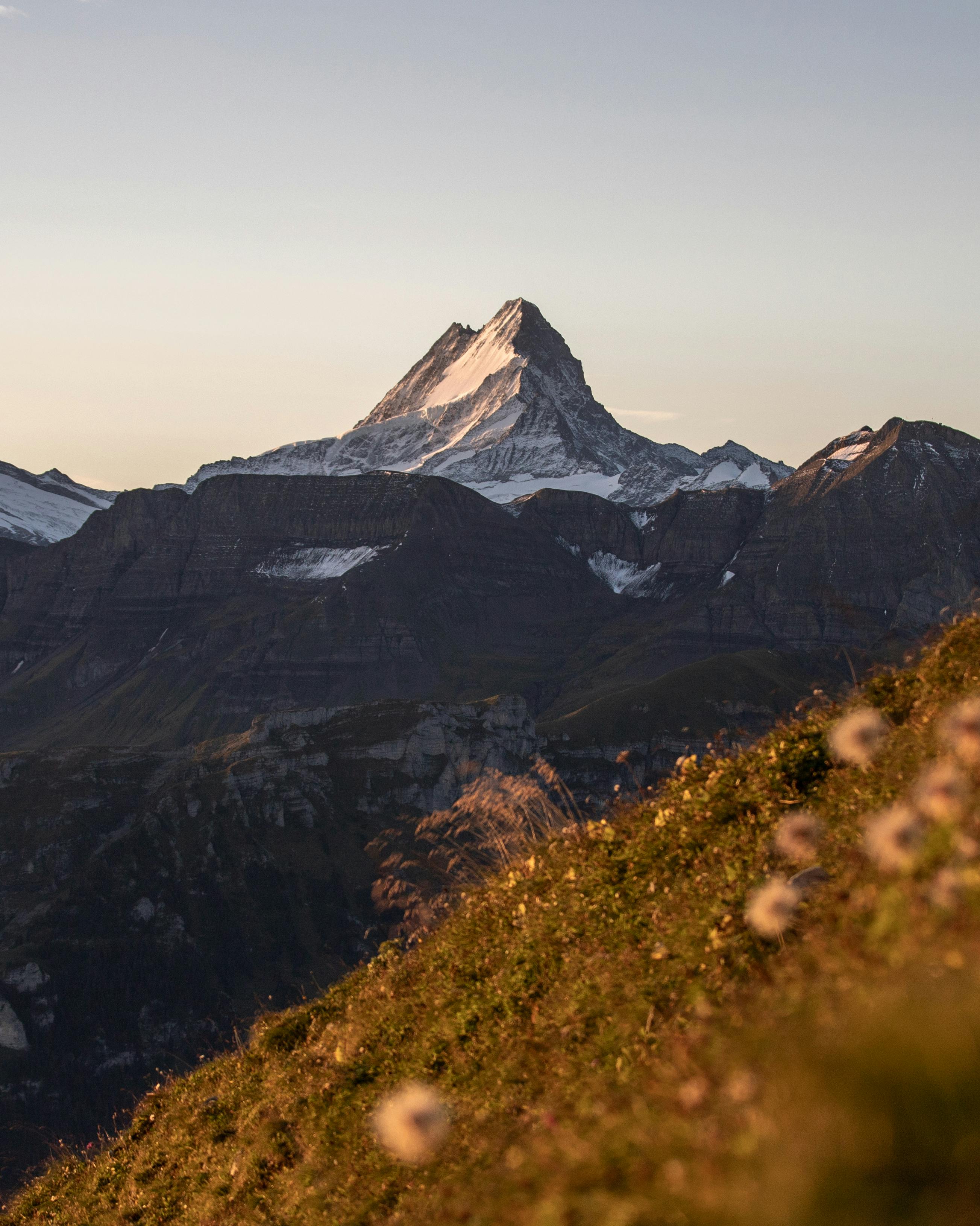 Breathtaking view of a snowcapped mountain peak in the Swiss Alps during sunset, surrounded by lush greenery.