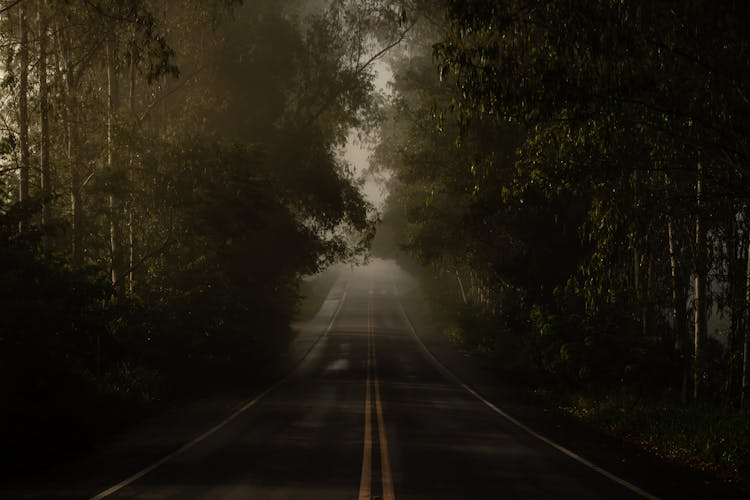 An Empty Asphalt Road