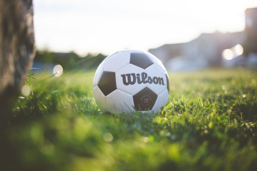 Close-up of a soccer ball resting on grass with a bright sunlit background.