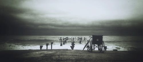 免费 水海附近轮椅的灰度照片 素材图片