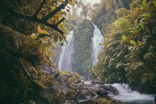 绿树环绕的瀑布照片