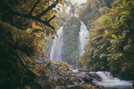 瀑布从郁郁葱葱的绿色植被中宁静地倾泻而下，营造出宁静的自然景观