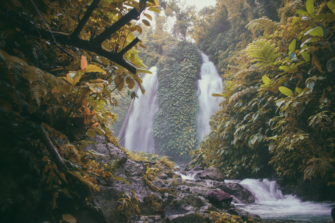 Foto Von Wasserfällen, Die Mit Grünen Bäumen Umgeben Sind
