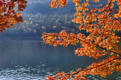 Free Colorful autumn leaves over a serene lake with forested hills in the background. Stock Photo