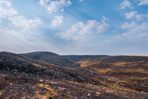 Free Expansive view of burnt desert hills under a blue sky with white clouds, showcasing post-wildfire recovery. Stock Photo